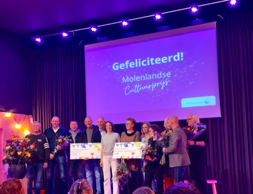 Van idee van Doe mee! naar Molenlandse Cultuurprijs